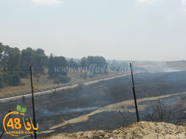 fire a7rsaah (8).jpg